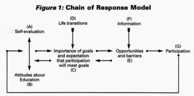 Figure 1: Chain of Response Model